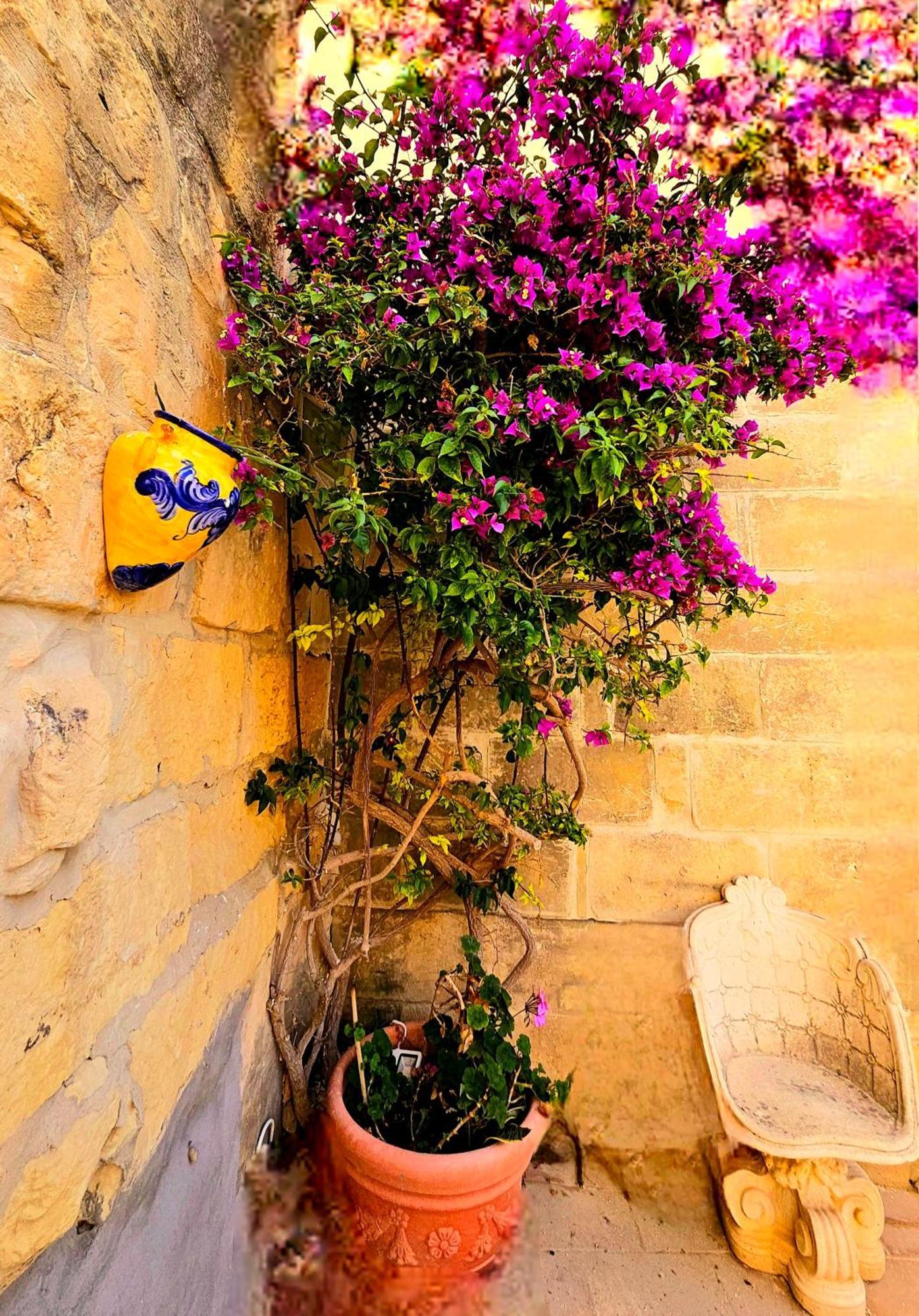 Traditional Gozo Semesterbostad